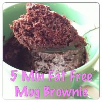 Fat Free Mug Brownie