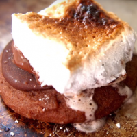 hot-cocoa-cookies-homemade-marshmallows