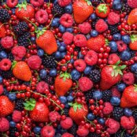 berries2-300x225