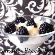 Yogurt, Homemade + Greek Yogurt