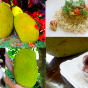 Jackfruit Seeds and Curry
