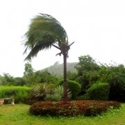 Hurricane Irma in St. Croix USVI