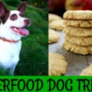 Superfood Dog Treats